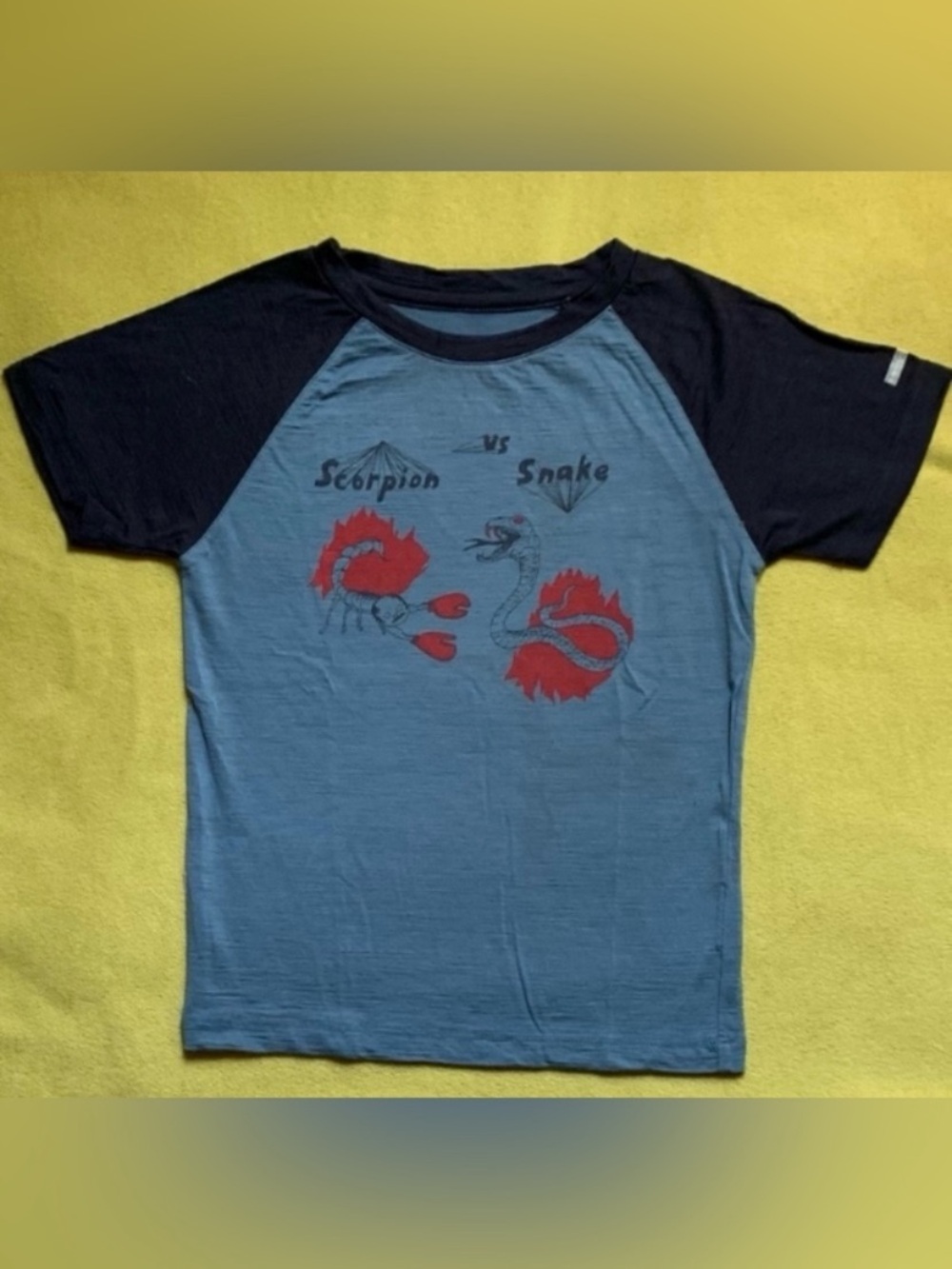 Flawed Icebreaker Kid’s Merino Wool Tee Scorpion vs Snake Graphic
